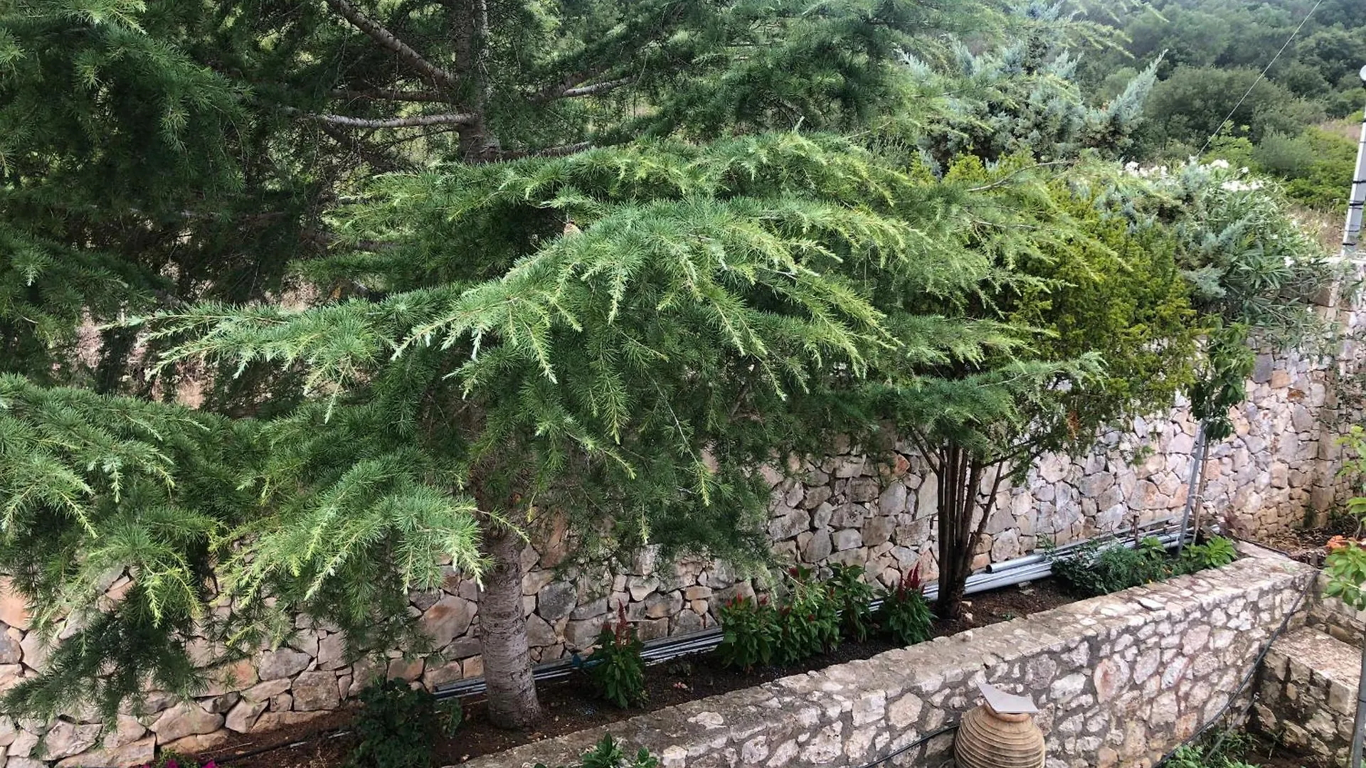 Apartmán Domus Villa Katsaráta Řecko